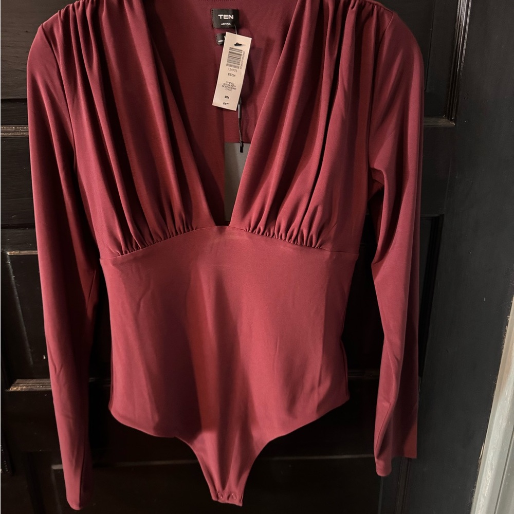 Aritzia TEN Deep V Long Sleeve Bodysuit in Spiced Burgundy Etch